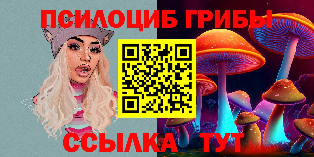 Анжеро-Судженск  Галлюциногенные грибы GOLDEN TEACHER  Вход с VPN 