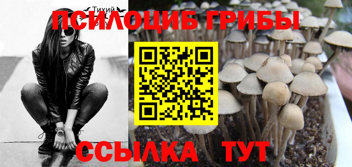 Галлюциногенные грибы GOLDEN TEACHER Анжеро-Судженск